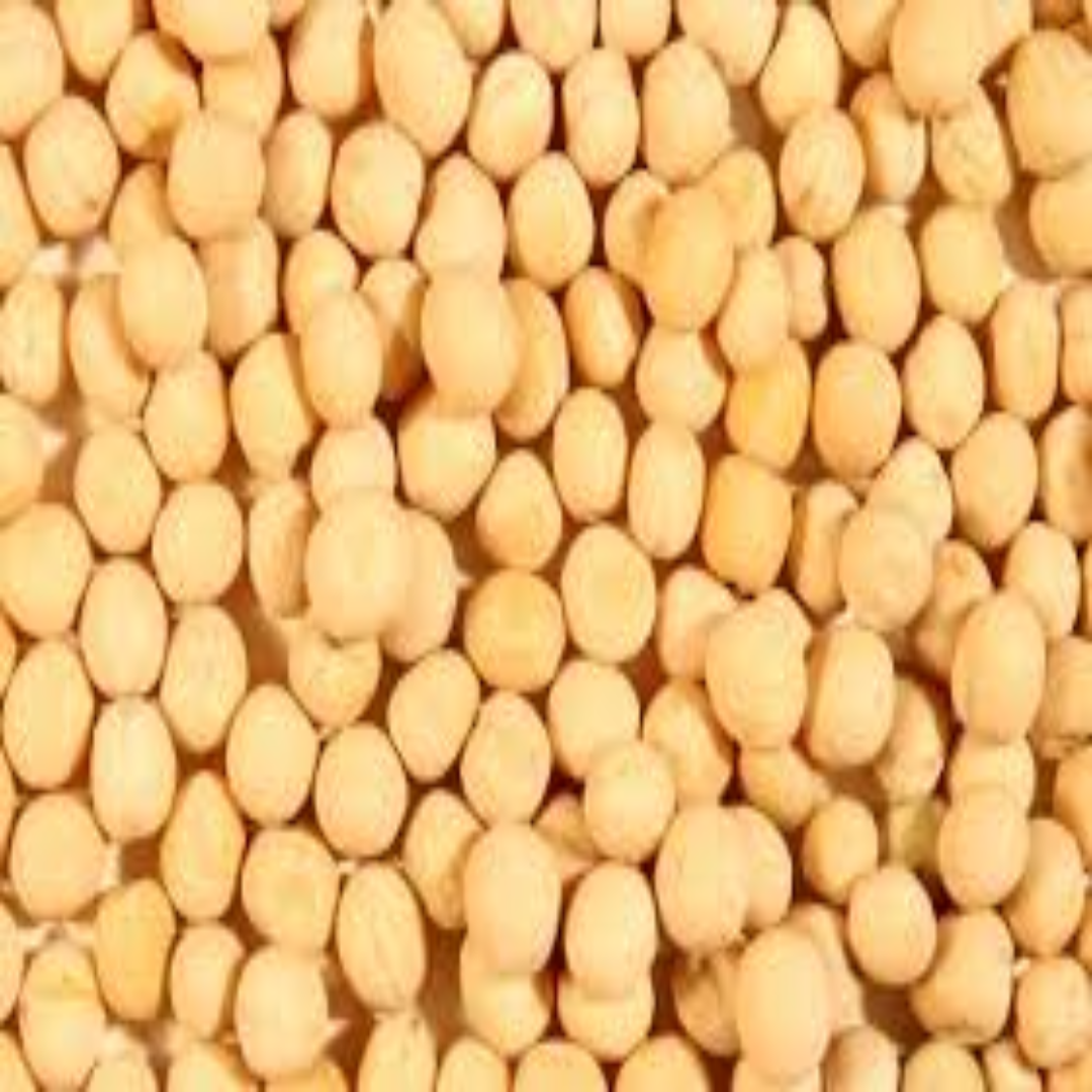 Wholesale Whole Yellow Peas Supplier UAE